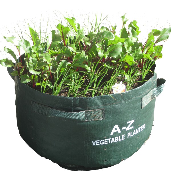 Planterbag/Vegetable Planter