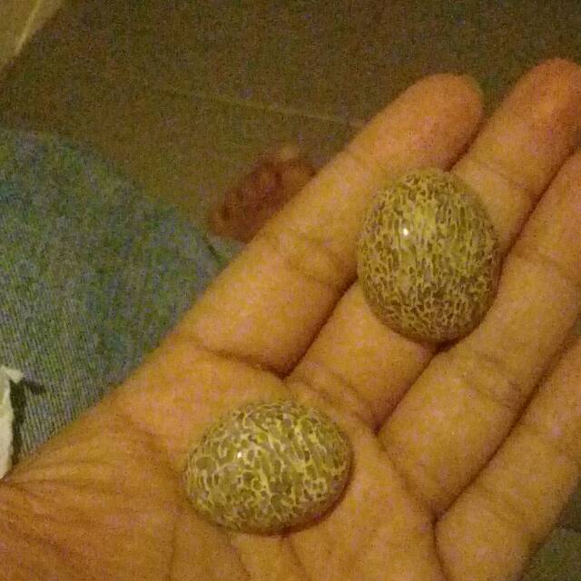Batu anti wisa/bisa