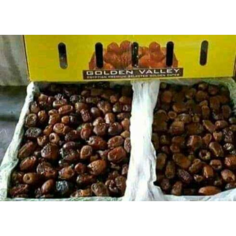 

kurma golden valley mesir