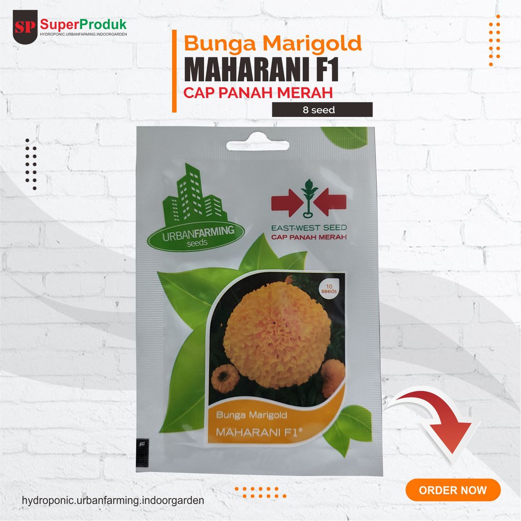 Benih Bunga Marigold Maharani F1 Cap panah merah