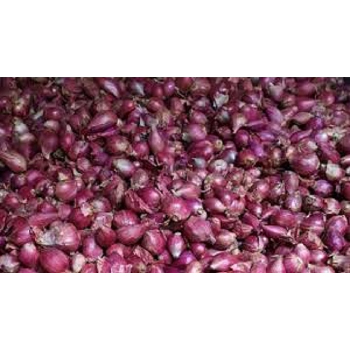 

Bawang Merah Sayur 250 g Campur Kecil Sedang