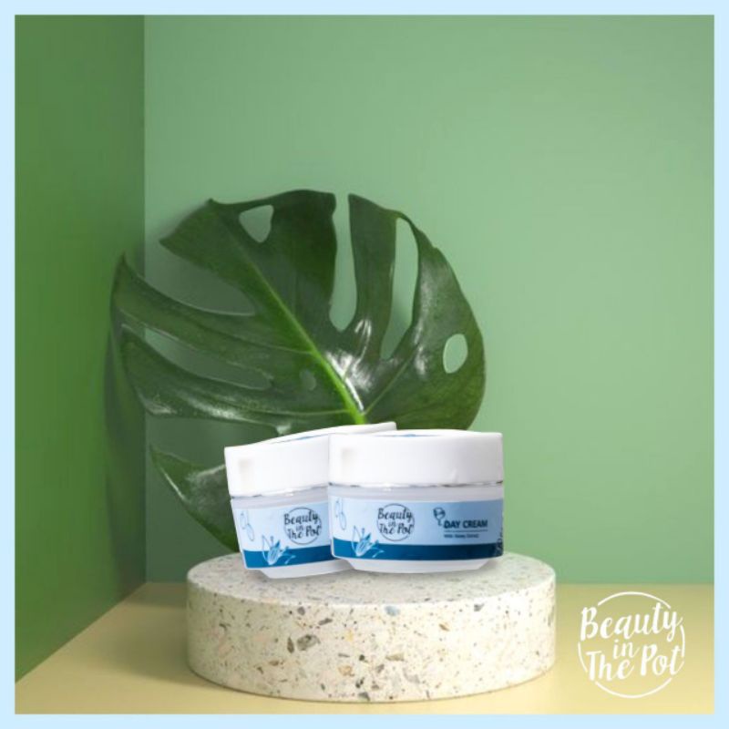 BEAUTY IN THE POT DAY CREAM