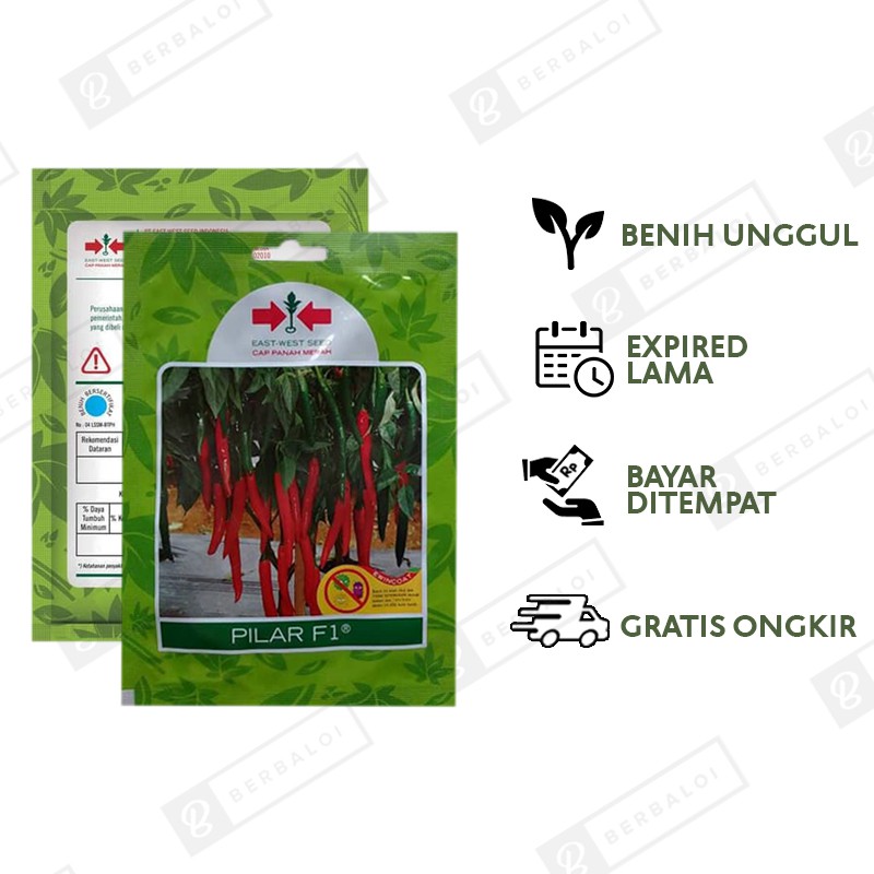 COD Pilar F1 Benih Cabe Cabai Merah Besar Dataran Menengah-Tinggi 125 Butir