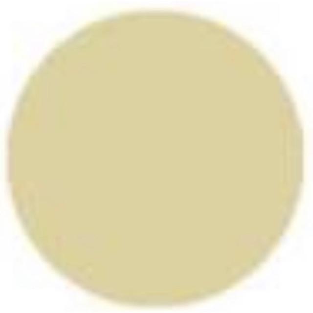 CAT SEPATU PIN PAINT 100ml -  CAT SEPATU CANVAS SUDE NUBUCK KANVAS - SEMIR SEPATU PERMANEN-Krem