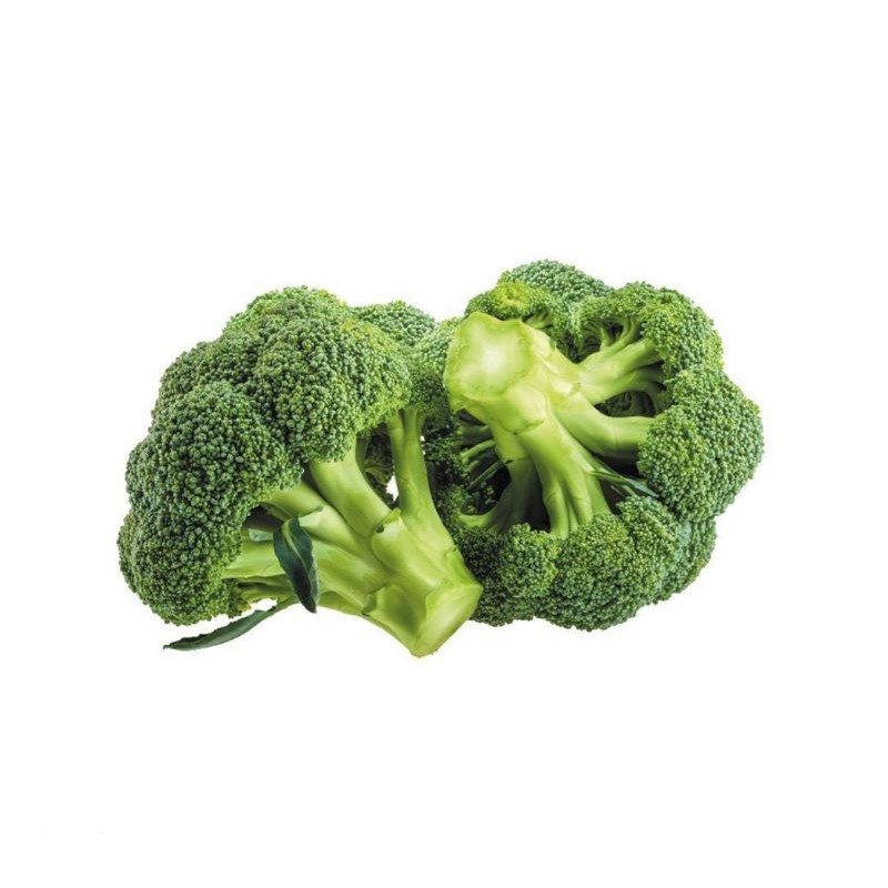 

BROKOLI HIJAU SEGAR ORGANIC / BROCOLI FRESH ORGANIC 500 GRAM