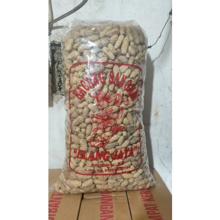 

kacang sangrai