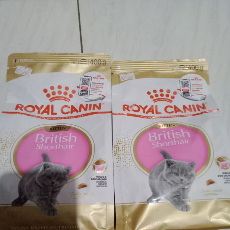 royal canin British shorthair kitten