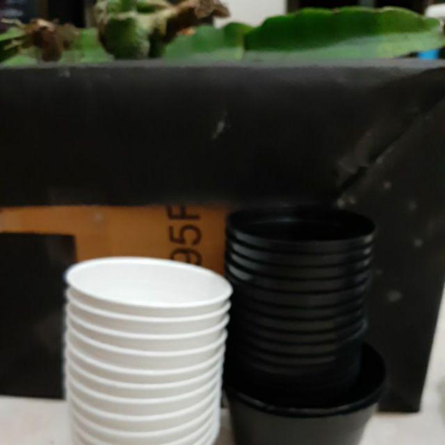 Paket Hemat 3 Pcs Plus Pot