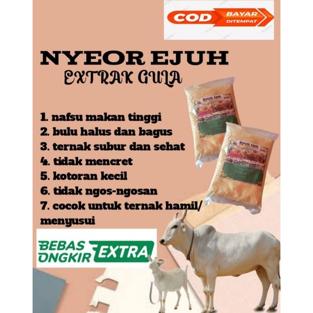 jamu sapi dan kambing nyeor ejuh