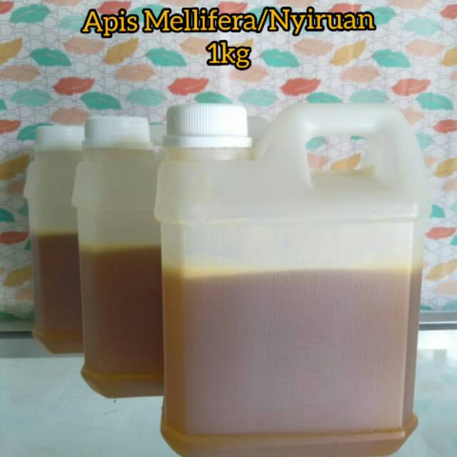

Madu asli/madu nyiruan 1kg