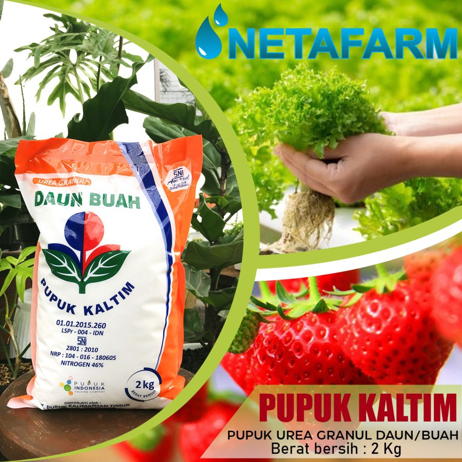 Pupuk Kaltim Urea Granul Daun Buah Nitrogen 46% kemasan 2 kg