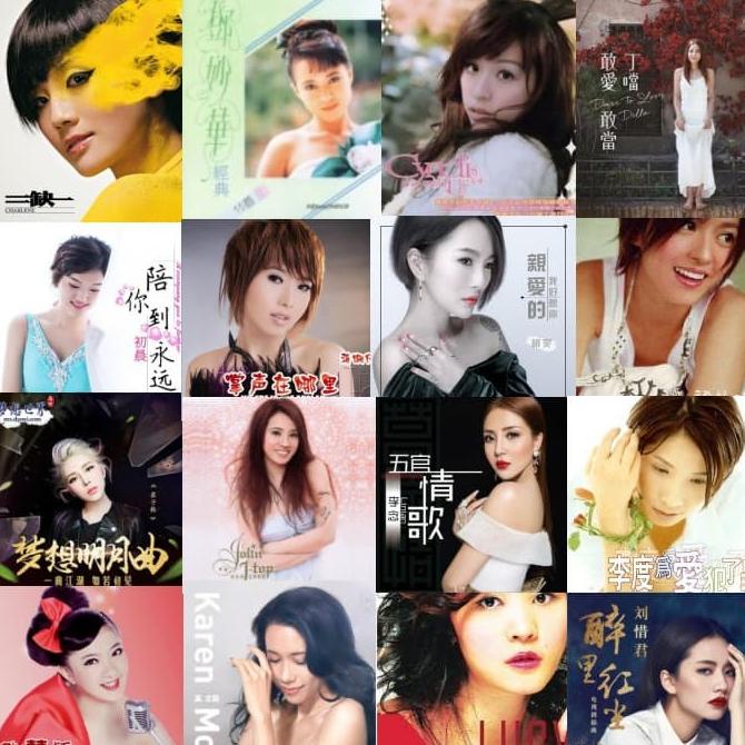 Flashdish USB 8gb KARAOKE 200 Lagu Mandarin & Hokkian WANITA Pilihan Star Seller Termurah