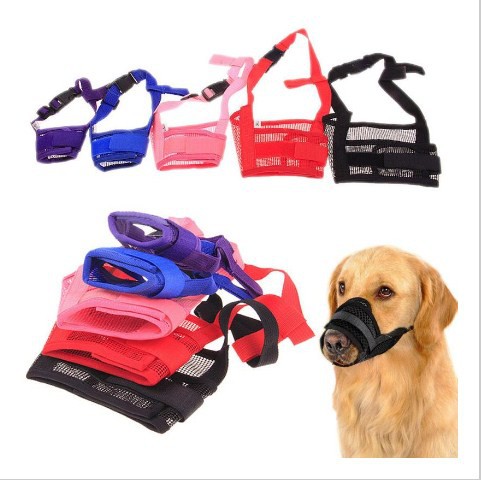 brangus anjing , brongsong mulut anjing dog muzzle