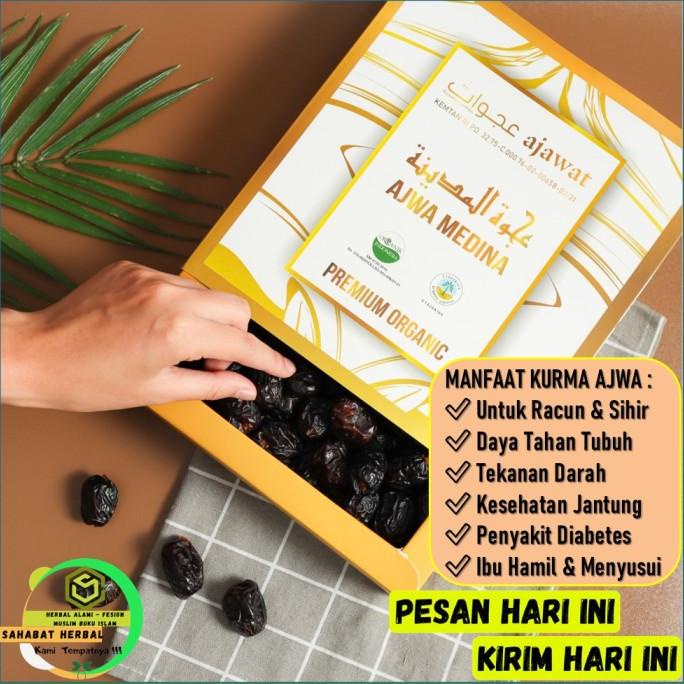 

(:(:(:(] BISA COD - Kurma Ajwa Madinah Ajawat Premium 1Kg Original Manis Empuk