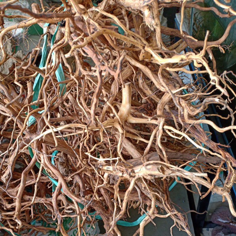 SALE Akar Rasamala Size S Hiasan Aquarium Aquascape