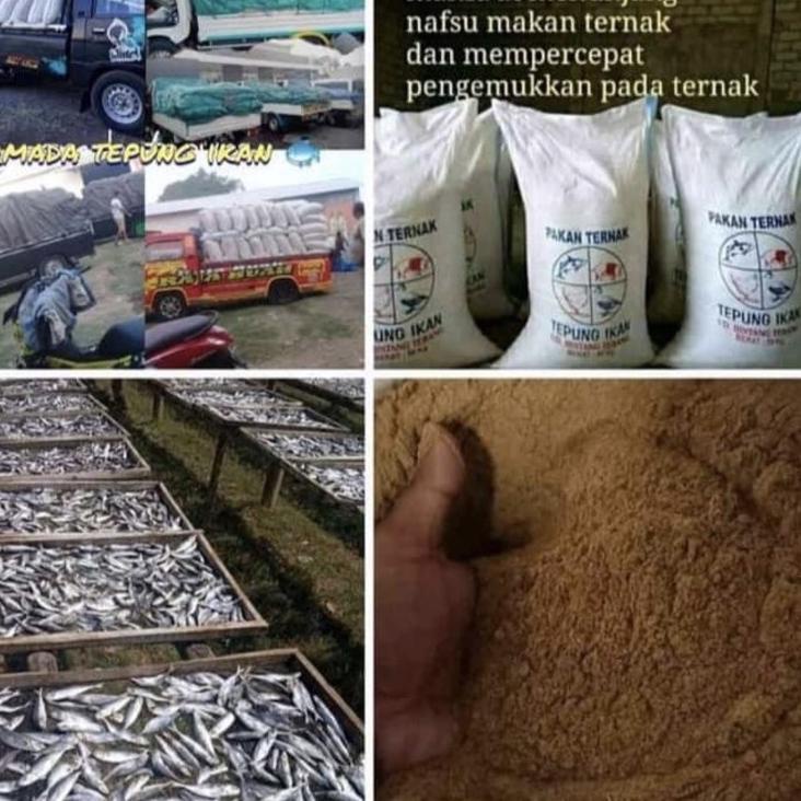

dsx Tepung Ikan Murni 1 kg Asli Original / tepung ikan pakan ternak / tepung ikan protein 65 % / tepung ikan super/ pakan ternak / tepung pakan ternak / makanan ternak / vitamin ternak ayam sapi / umpan pancing ikan / tepung protein ternak / tepung protei