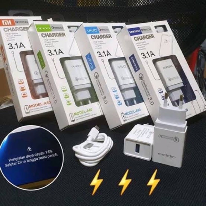 TC charger travel brand 3,1A