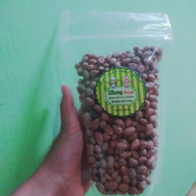 

Kacang bogares