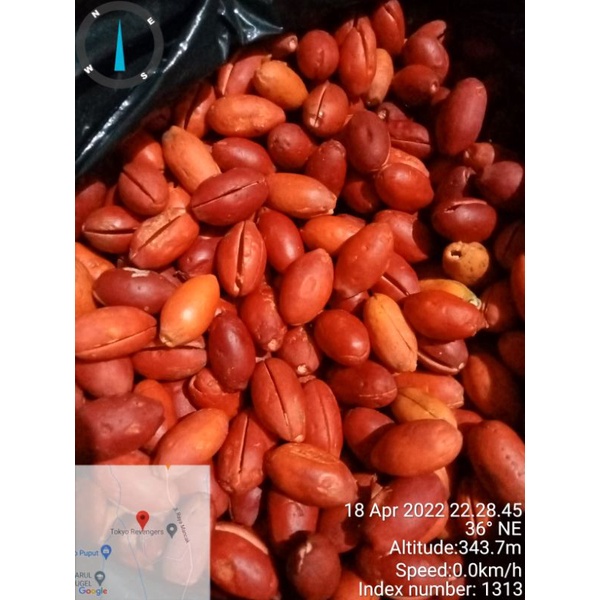 

KULIT MELINJO SEGAR LANGSUNG KIRIM 1KG