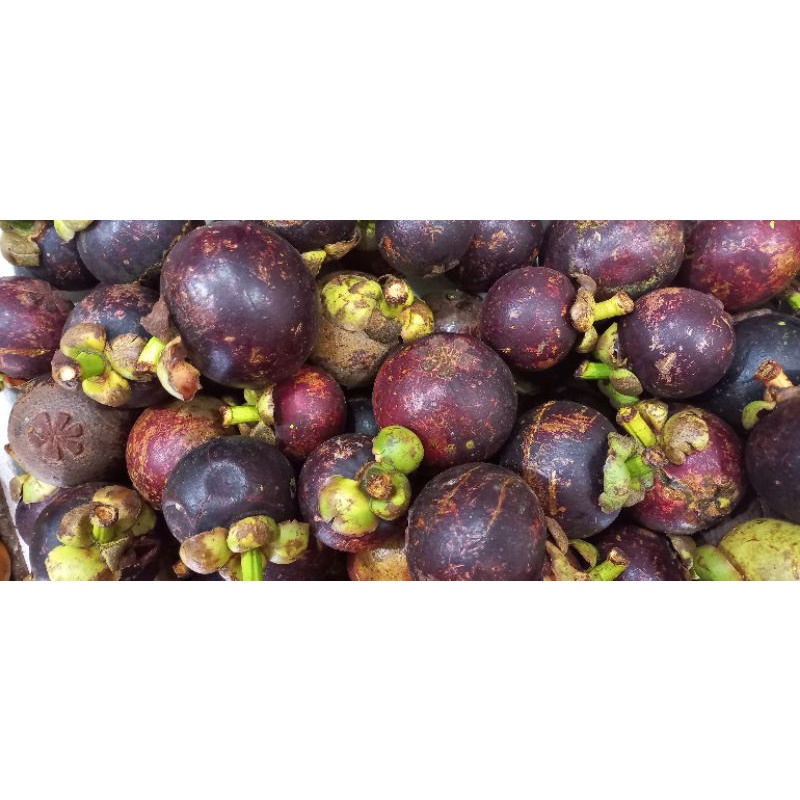 

buah manggis manis lokal kwalitas premium