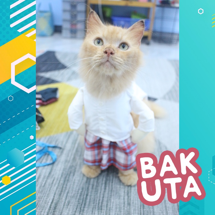 Kostum baju koko sarung Kotak-Kotak Merah + Peci / baju koko kucing lebaran Terbaru size S-XL