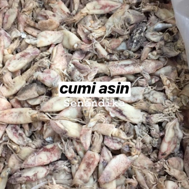 

Cumi Asin Kering (bukan cumi baby) per KG