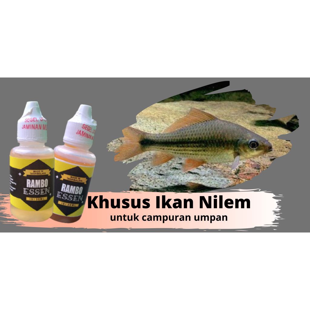Essen Ikan Nilem Merk Rambo