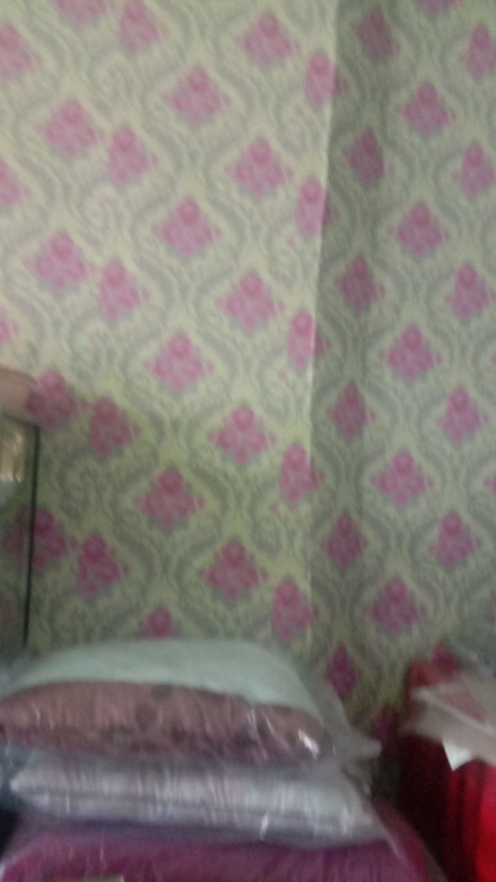 Best 2pcs Jolie Bantal Silicon Bantal Hotel Super Lembut Anti Alergi Isi 2pcs