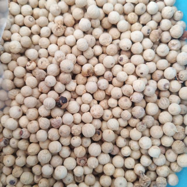 

Merica Putih / Lada Putih / White Pepper 100 gram