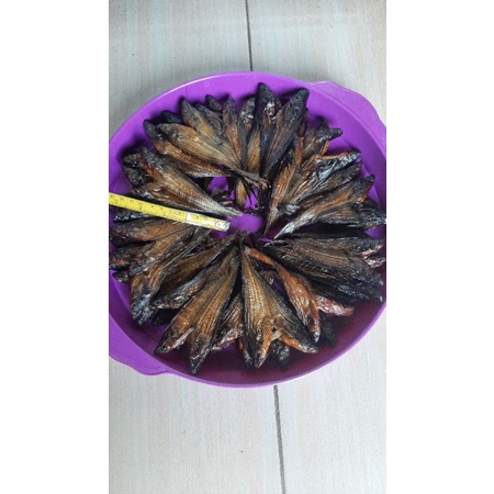 

salai lais ukuran sedang