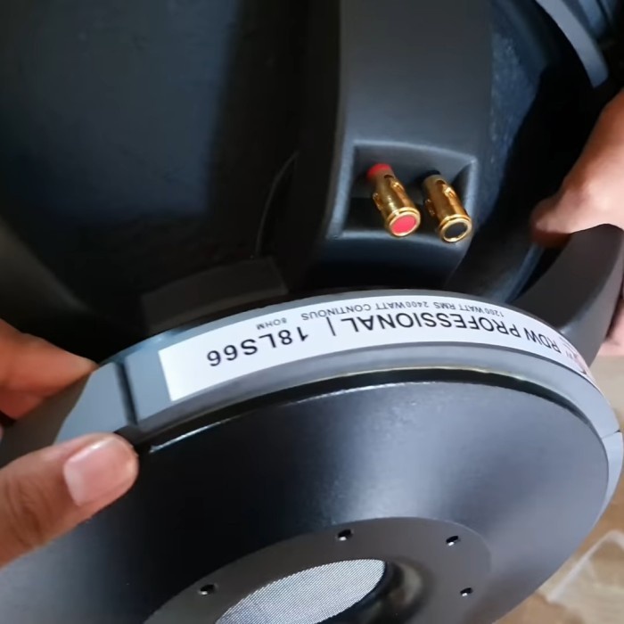 Speaker 18 in Rdw 18LS66 Original