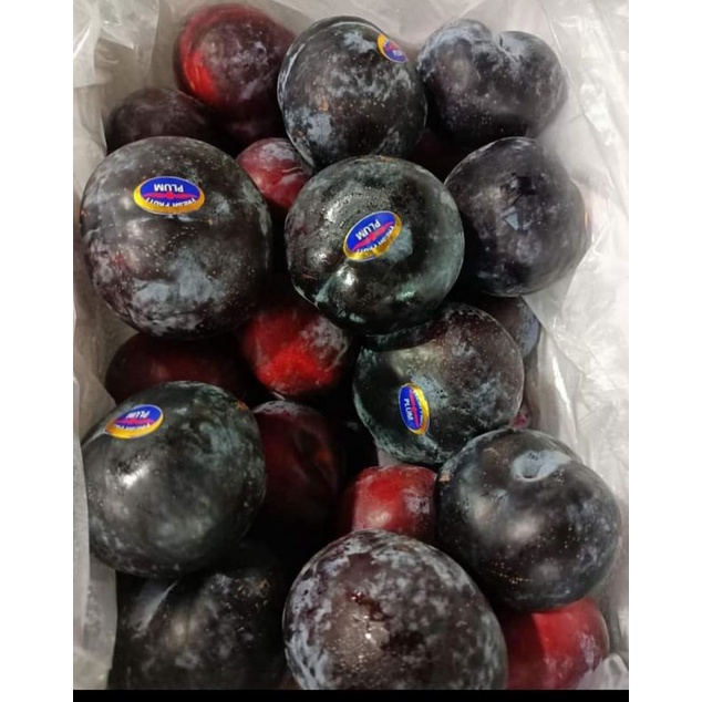 Jual Buah Plum Shopee Indonesia