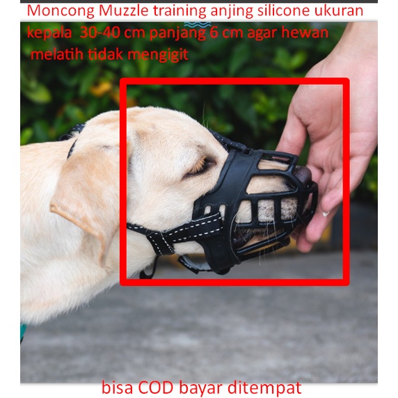 Jual Moncong Muzzle training anjing silicone ukuran kepala 30-40 cm ...