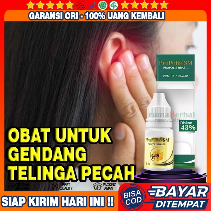 Obat Gendang Telinga Pecah, Telinga Berair, Bernanah dan Bau, Congek, Gendang Telinga Pecah, Robek