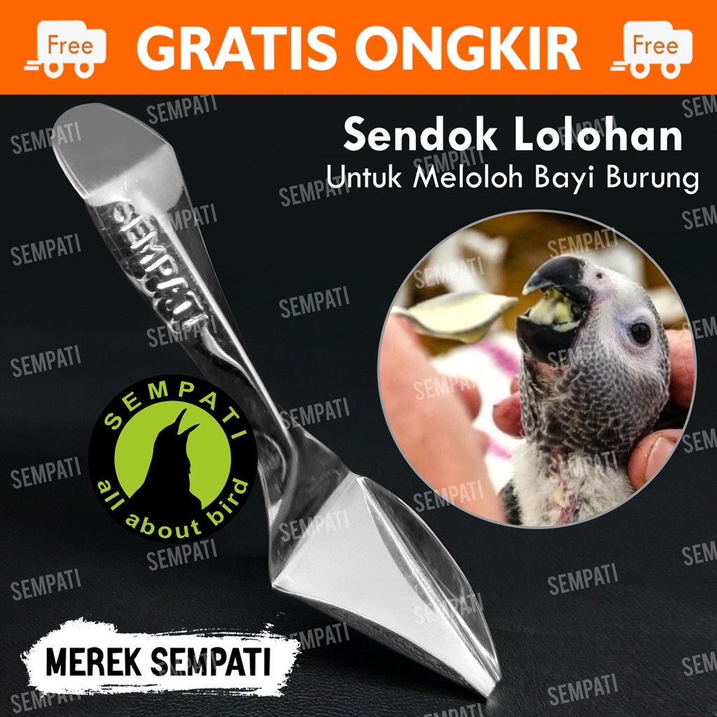 SENDOK LOLOHAN BURUNG PARROT LOVEBIRD SENDOK SEMPATI SENDOK LOLOH PAKAN BAYI BABY PIYIK BURUNG SDKSE