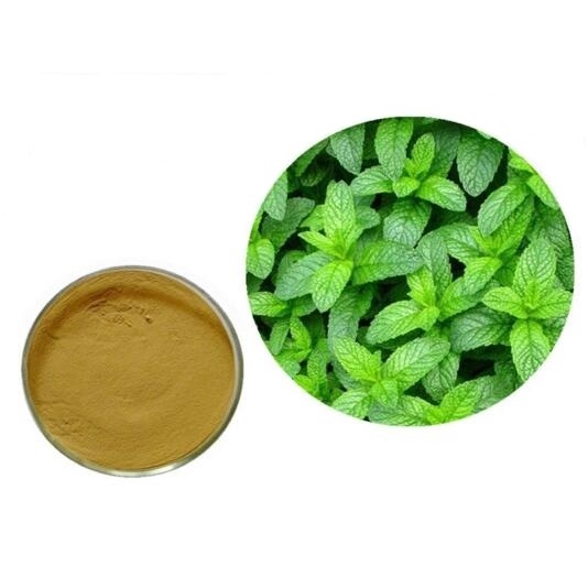 

PEPPERMINT EXTRACT BUBUK 50GR