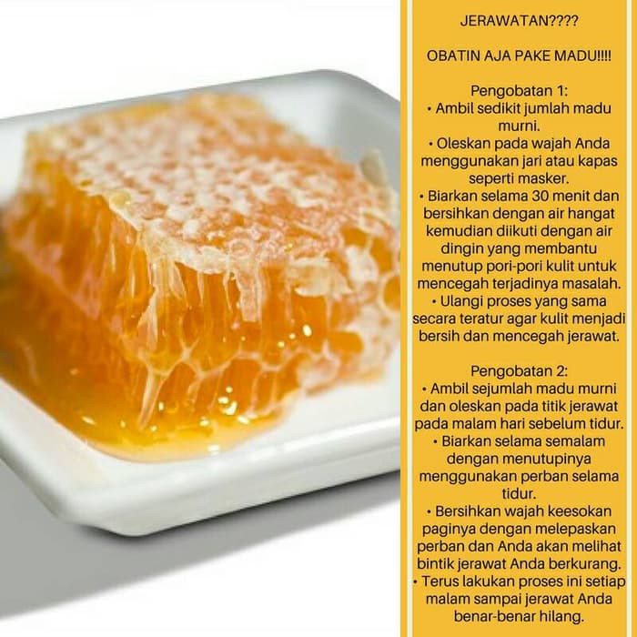 

Madu Sarang 1kg - MMD1729