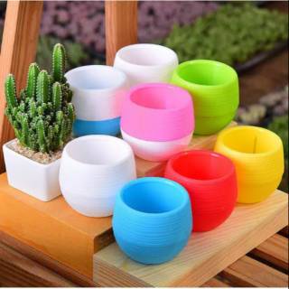 GK POT MINI COCOK BUAT TANAMAN KECIL DAN MUNGIL HIASAN GK POT MINI COCOK BUAT TANAMAN KECIL DAN MUNGIL HIASAN