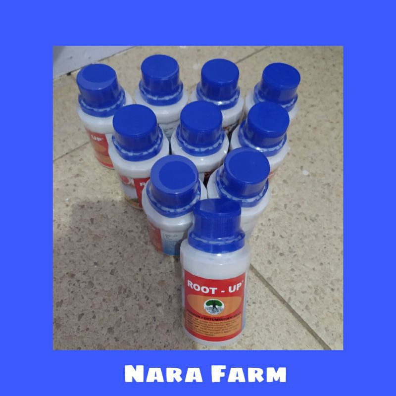 ROOT-UP / HORMON PERTUMBUHAN AKAR