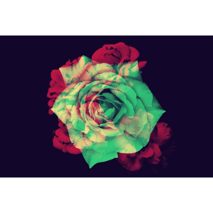 Elegant Flower Brushes  - Photoshop