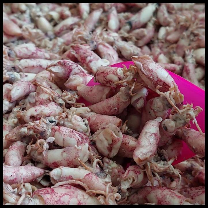 

Cumi Asin Cendol 1Kg/Cumi Baby Asin 1Kg