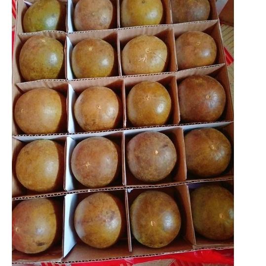 

KodeW2i2H--Lohanko / Lohankuo / Lo Han Ko / Lo Han Kuo Ukuran Medium ( Standart )