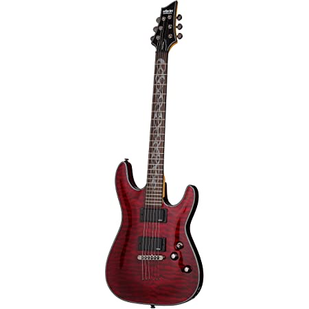SCHECTER DAMIEN SPECIAL