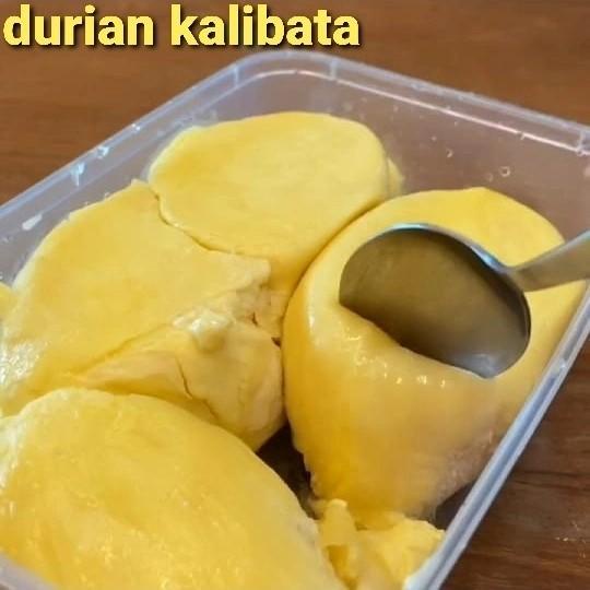 

Buah | Durian Duren Montong Palu