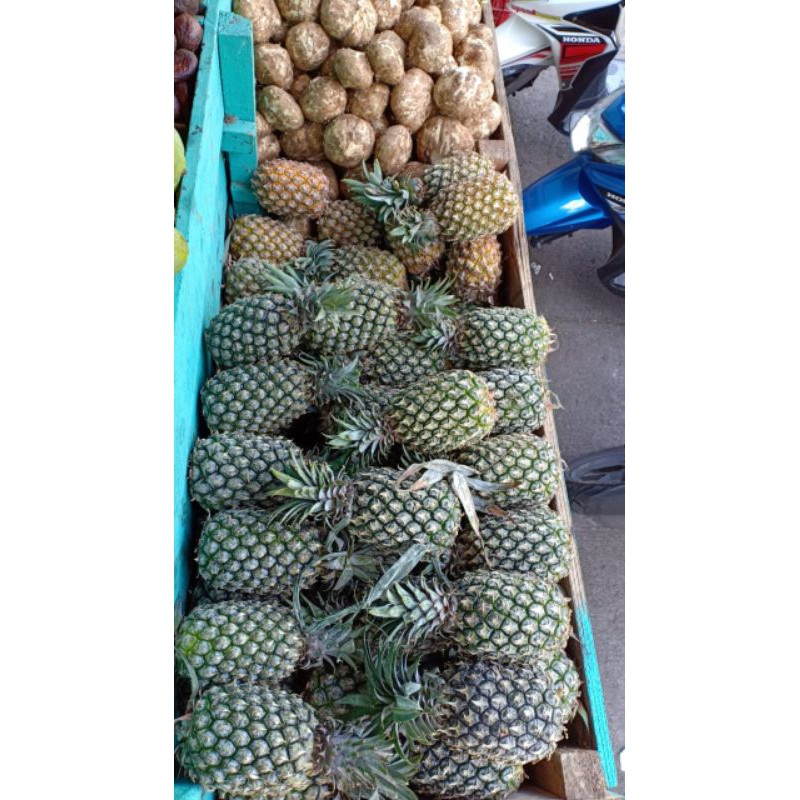 

nanas kediri hijau