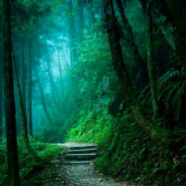 muhammadericelkayana