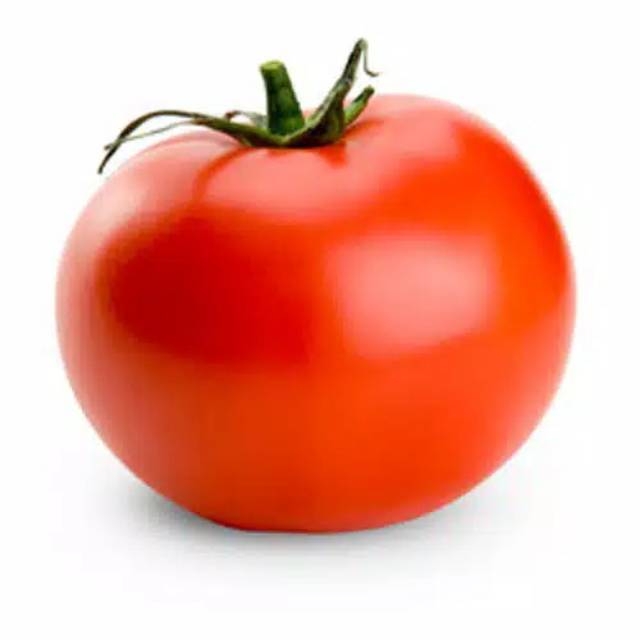 Benih Tomat Apel Merah Jumbo-1
