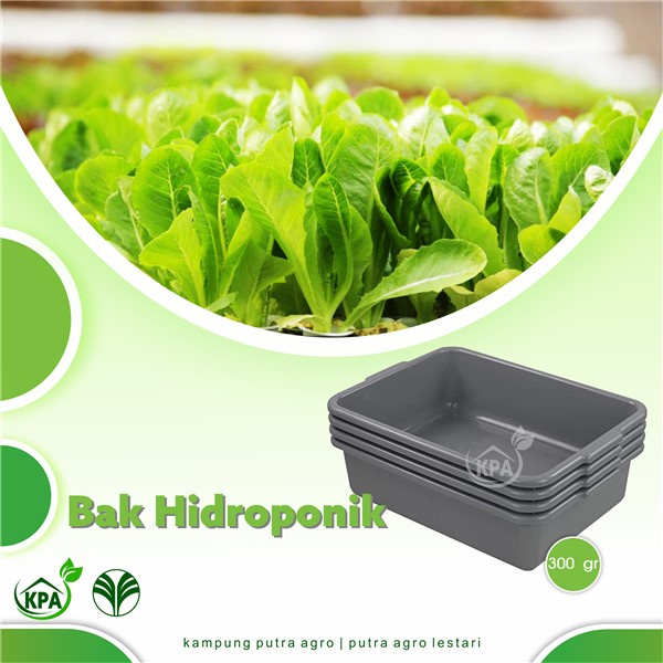 Bak Plastik Hidroponik Wick