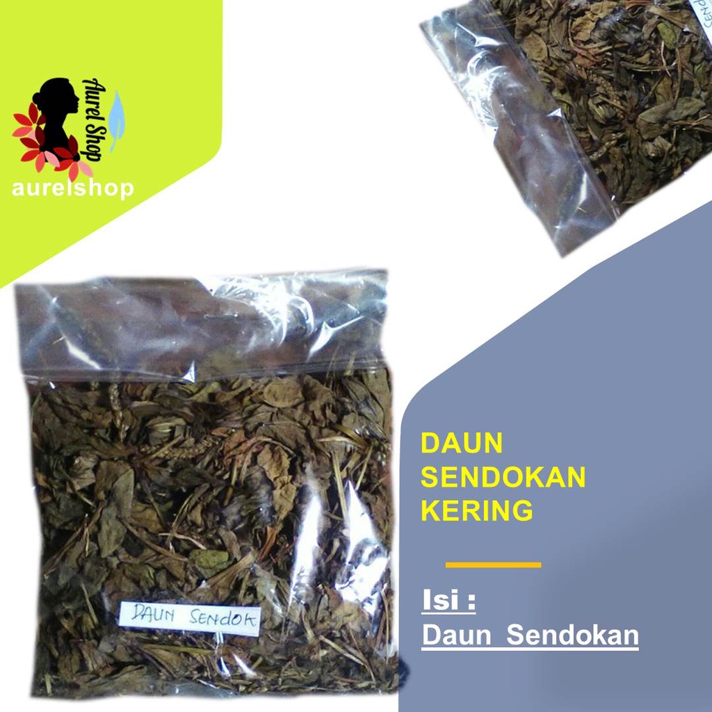 

Daun Sendok Sendokan Kering 1 kg Ki Urat