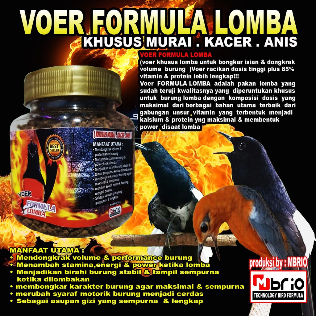 Voer Formula Lomba Pakan Burung Murai, Kacer Dan Anis